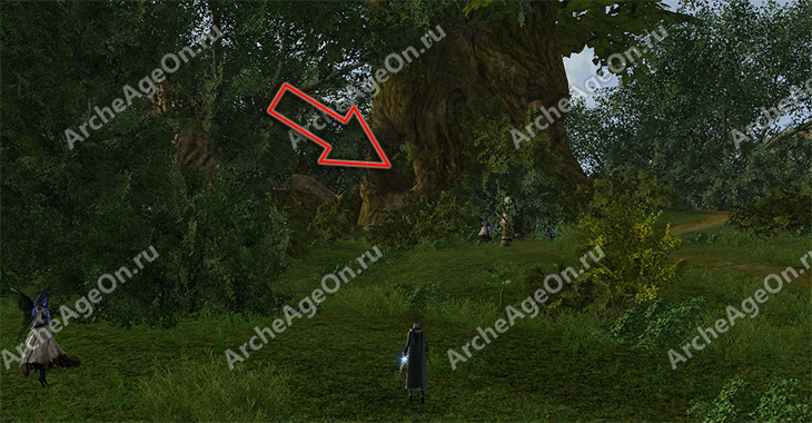 Дупло в дереве в Зачарованной лощине в ArcheAge