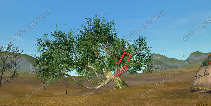 Осмотреть дерево, согнутое ветром в плато Соколиной Охоты в Архейдж