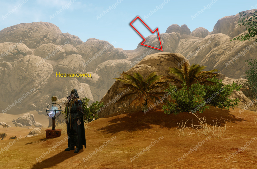 Камень с видом на плантации драконовых пальм в Радужных песках Архейдж