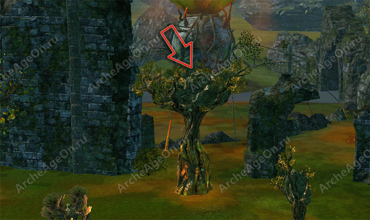 Осмотреть крону окаменевшего дерева в замке Ош Архейдж