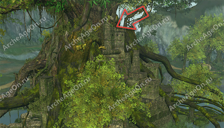 Подняться на самую высокую башню в ветвях Хозяина леса в лесу Гвинедар в ArcheAge