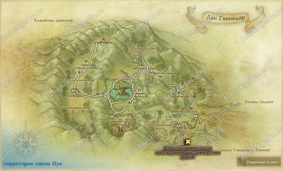 Место для наблюдения за служителями Дауты в лесу Гвинедар в ArcheAge (карта)