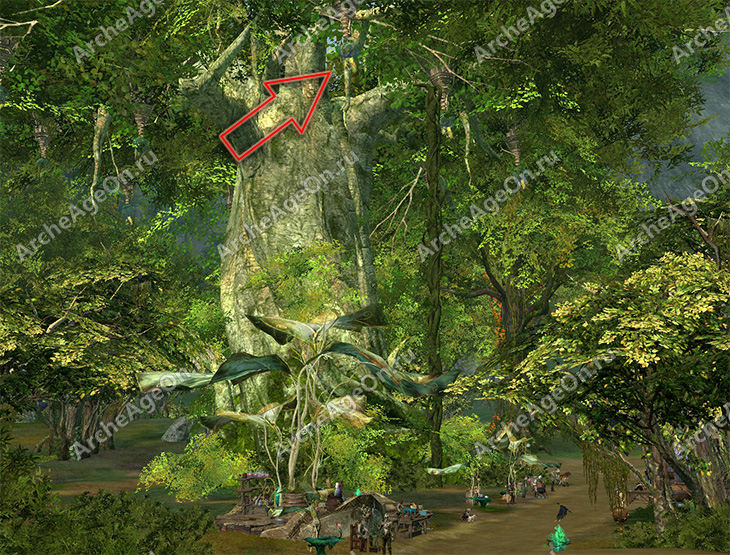 Забраться на могучее дерево в лесу Гвинедера в ArcheAge